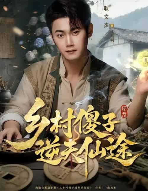 乡村傻子逆天仙途（80集全）耿文杰＆雨润-紫橙网创项目网