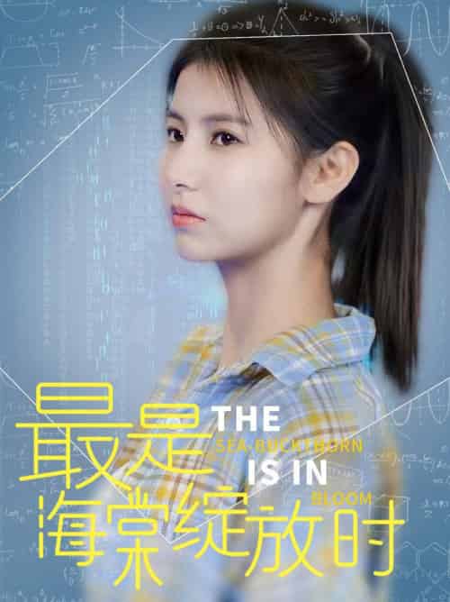 最是海棠绽放时（33集全）邓恒健＆王槿 - 紫橙阁短剧