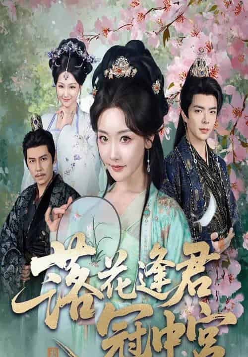 落花逢君冠中宫（65集）温宇＆孟璐 - 紫橙阁短剧