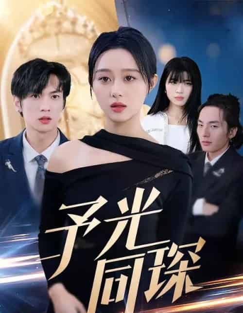 予光同琛（39集全）夏文馨＆柳天杨-紫橙网创项目网