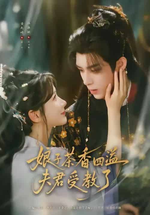 娘子茶香四溢夫君受教了(92集全)黄天崎&汪海敏-紫橙网创项目网