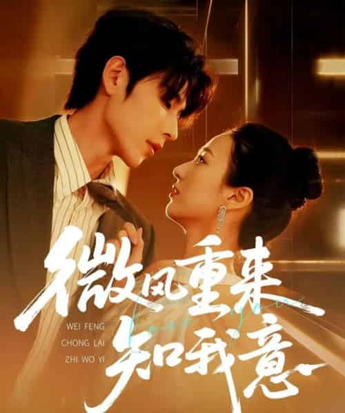 微风重来知我意(62集)安奕明&尹澜霏-紫橙网创项目网