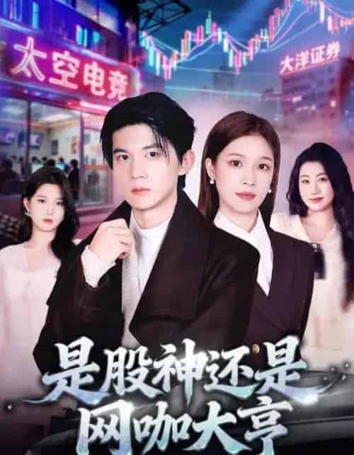 是股神还是网咖大亨(80集全)王夏桥&江桐-紫橙网创项目网