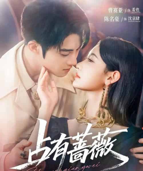 占有蔷薇 占有蔷薇