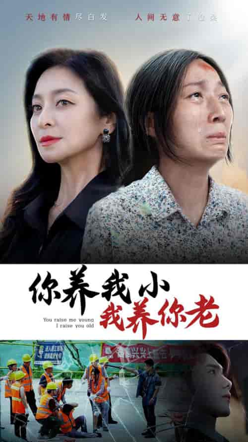 你养我小我养你老（78集） - 紫橙阁短剧