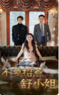 不要招惹舒小姐（101集） - 紫橙阁短剧