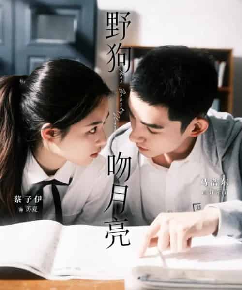 野狗吻月亮（68集）马浩东＆蔡子伊-紫橙网创项目网