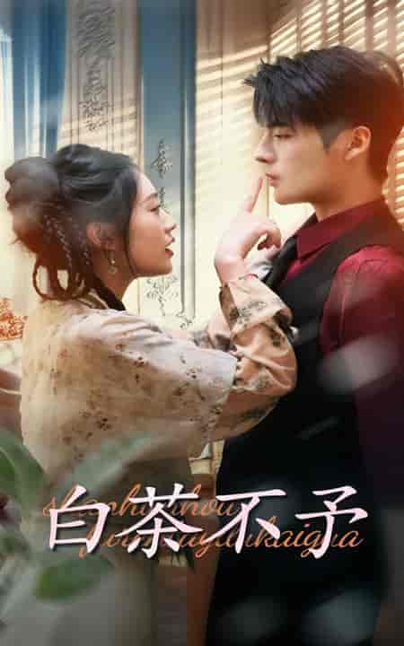 白茶不予（68集全）潘欣懿＆段美洋 - 紫橙阁短剧