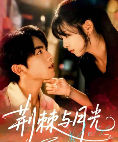 荆棘与月光 荆棘与月光