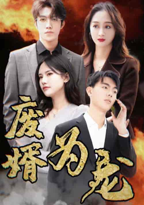 废婿为龙 废婿为龙