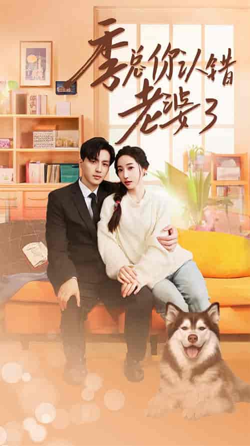 季总你认错老婆了＆远在眼前的你（90集） - 紫橙阁短剧