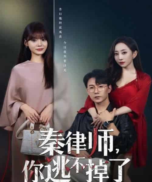 秦律师你逃不掉了(80集全)祁圣翰&王一晴-紫橙网创项目网