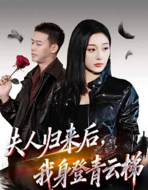 夫人归来后我身登青云梯&夫人助我踏巅峰(70集全)刘亚倩&柴昊辰-紫橙网创项目网