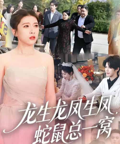 龙生龙凤生凤，蛇鼠总一窝（60集全）曹淼＆牛韵暄-紫橙网创项目网