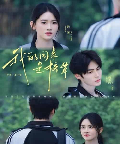 我的同桌是校草（51集全）赐不肉＆海星-紫橙网创项目网