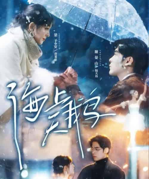 海上天鹅（70集全）陆天玮＆唐幕佳-紫橙网创项目网