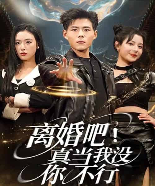 离婚吧！真当我没你不行（69集全）郭建清＆李文瑞-紫橙网创项目网