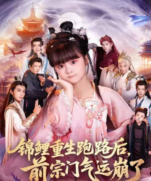 锦鲤重生跑路后前宗门气运崩了（73集全）黄骞＆黄博斯-紫橙网创项目网