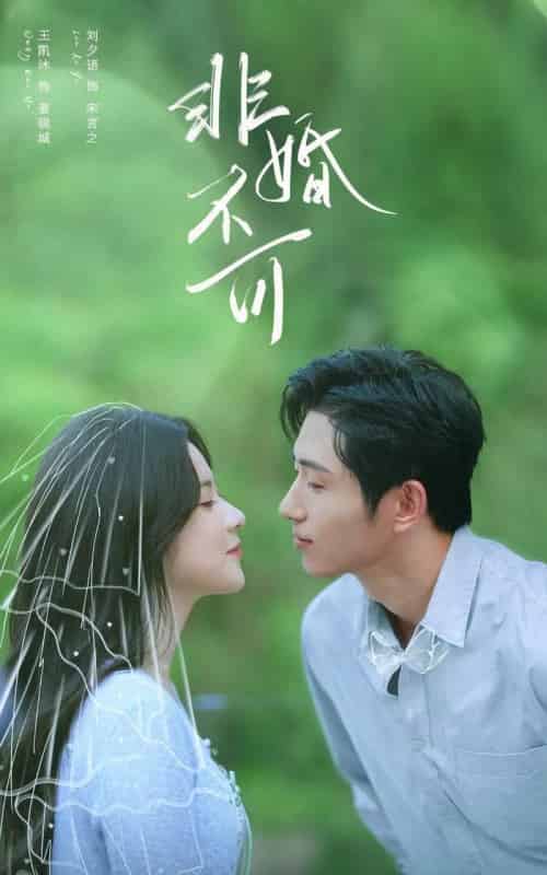 非婚不可（65集全）王凯沐＆刘夕语-紫橙网创项目网