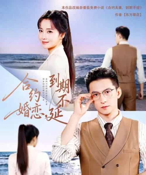 合约婚恋，到期不延（61集全）杨寒＆赵菲-紫橙网创项目网
