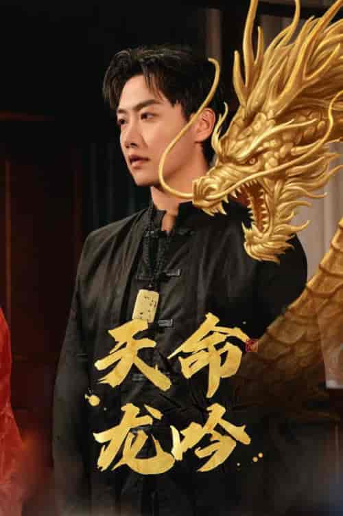 天命龙吟（48集全） - 紫橙阁短剧