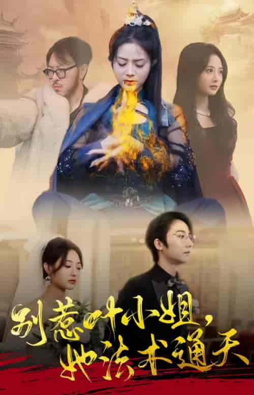 别惹叶小姐，她法术通天（91集）-紫橙网创项目网