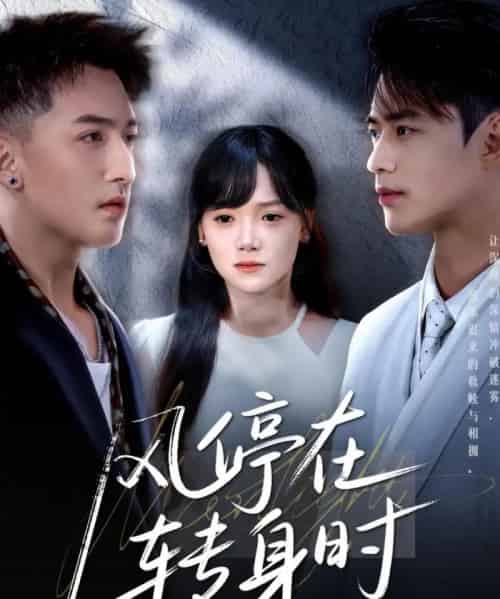 风停在转身时（72集）黄小再＆秦远 - 紫橙阁短剧