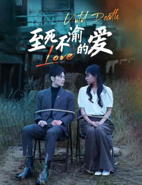 至死不渝的爱（80集全） - 紫橙阁短剧
