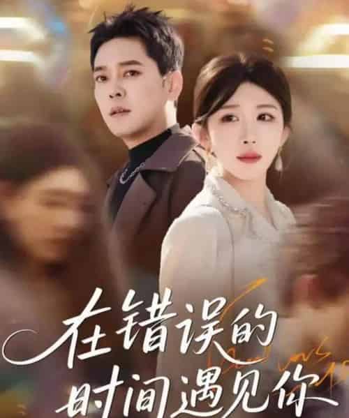 在错误的时间遇见你（61集全）房蕾＆于珂然-紫橙网创项目网