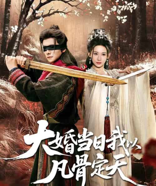 大婚当日我以凡骨定天（74集全）王振＆张思琦-紫橙网创项目网