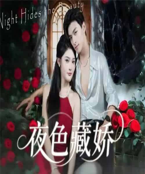 夜色藏娇(65集全)范瑞恒&王知煜-紫橙网创项目网