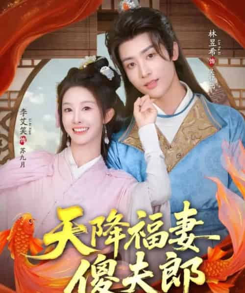 天降福妻傻夫郎（85集全）林昱希＆李艾笑-紫橙网创项目网