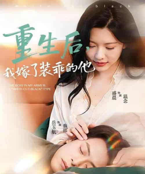 重生后，我嫁了装乖的他（81集全）岳雨航＆盛晨 - 紫橙阁短剧