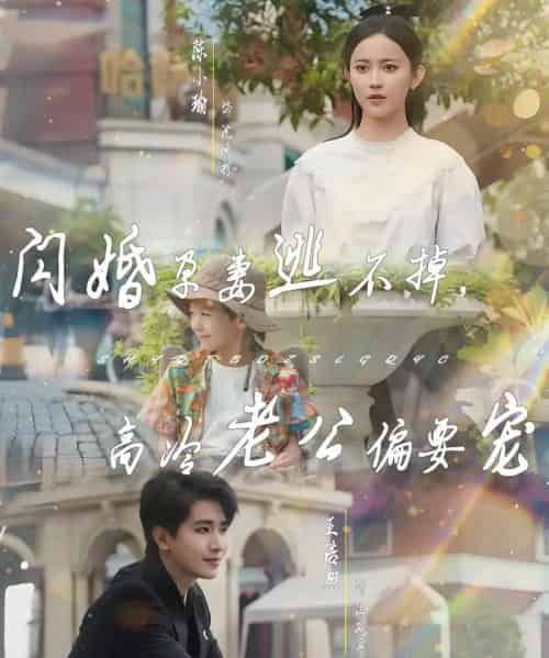 闪婚孕妻逃不掉，高冷老公偏要宠（78集）王浩翔＆陈小瑜 - 紫橙阁短剧