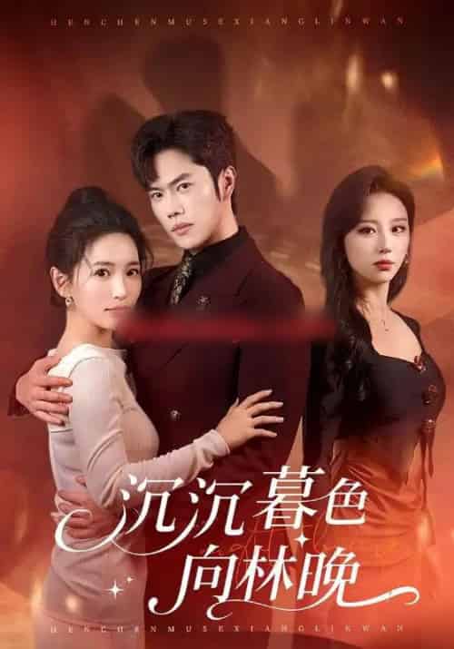 沉沉暮色向林晚（60集全）聂子轩＆李雪莹-紫橙网创项目网