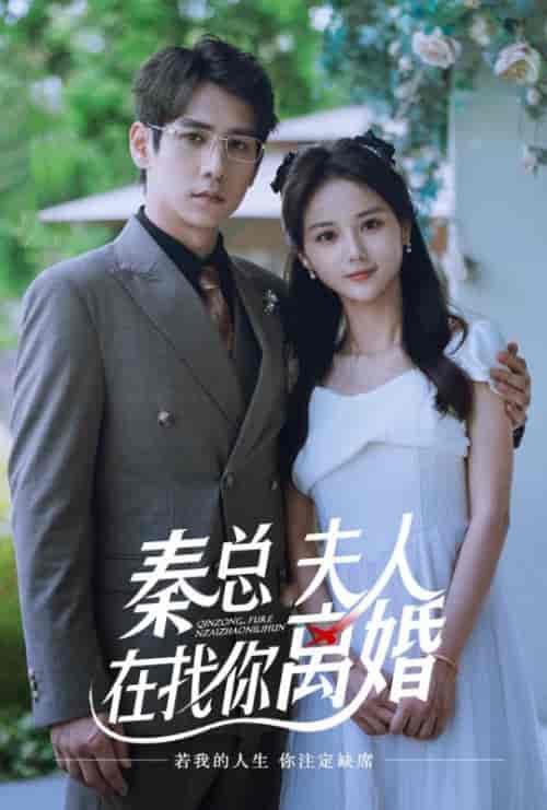 秦总夫人在找你离婚（79集全）秦沐川＆马倩倩 - 紫橙阁短剧