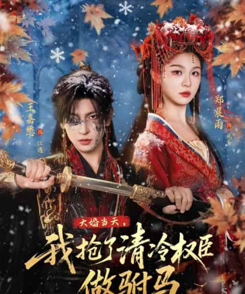 大婚当天，我抢了清冷权臣做驸马（73集全）王嘉懋＆郑晨雨-紫橙网创项目网