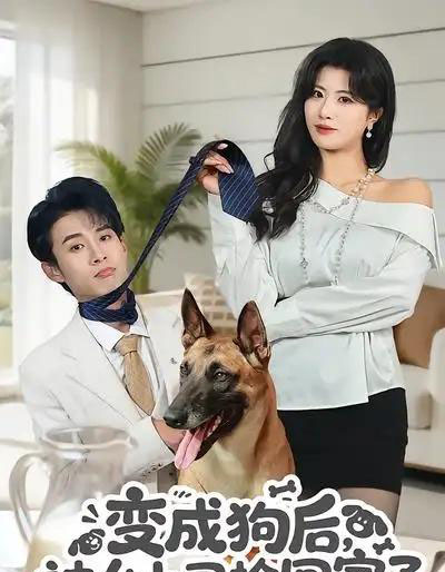 变成狗后,被女上司捡回家了(57集全)夏已傲&黄宁馨-紫橙网创项目网