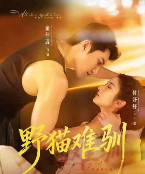 野猫难驯（73集全）金佳遇＆付妤舒-紫橙网创项目网