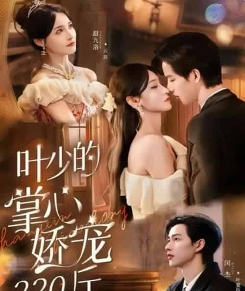 叶少的掌心娇宠220斤(69集全)闵杰&甜九洛-紫橙网创项目网