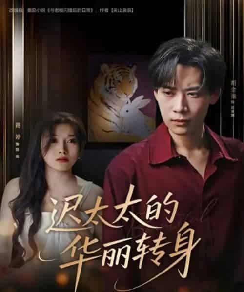 迟太太的华丽转身（80集全）胡金池＆路婷-紫橙网创项目网