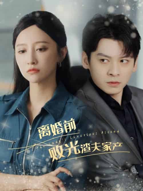 离婚前败光渣夫家产（100集全）莫成澜＆江金澄 - 紫橙阁短剧