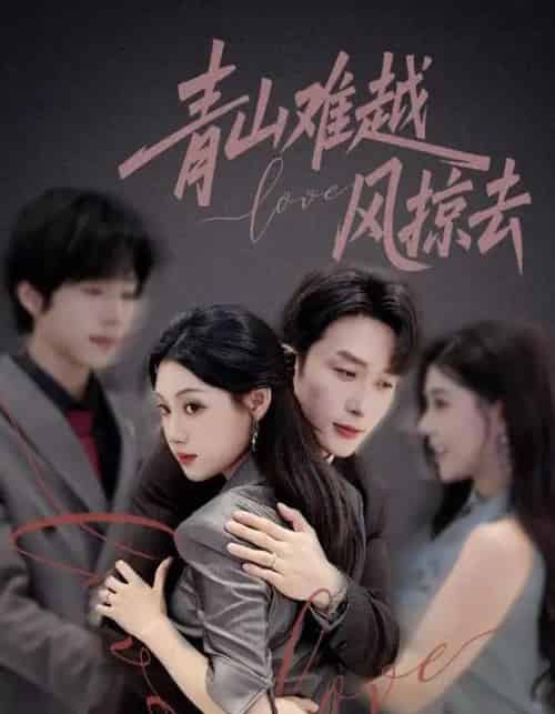 青山难越风掠去（58集）叶庭＆刘倩彤-紫橙网创项目网