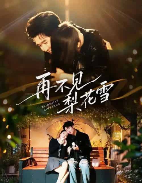 再不见梨花雪＆问夏碎梦（70集全）王裕博＆陈酉昔-紫橙网创项目网