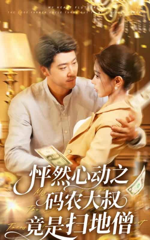 怦然心动之码农大叔竟是扫地僧（66集）陈碧霄-紫橙网创项目网