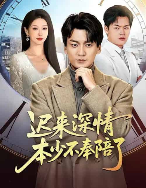 迟来深情本少不奉陪了（60集全）张沫蕾＆何祯-紫橙网创项目网