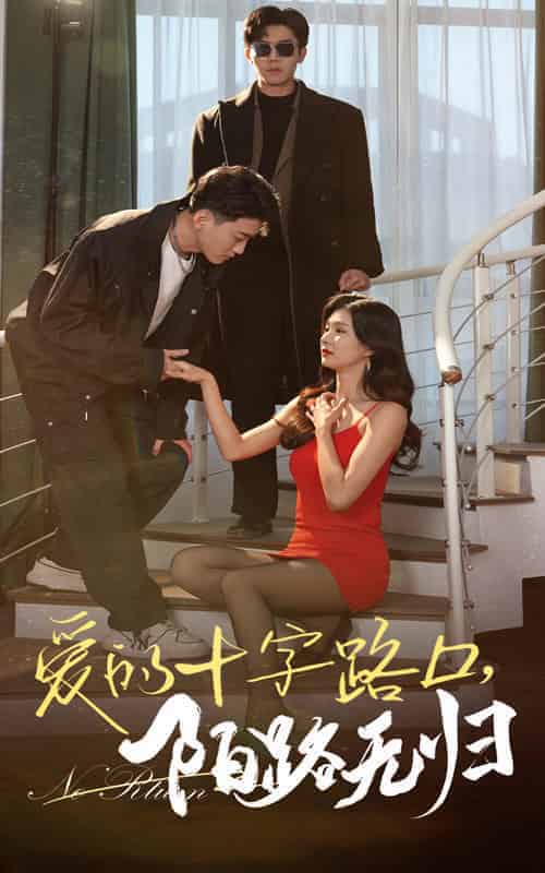 爱的十字路口陌路无归（35集全）张北淅＆程美华 - 紫橙阁短剧