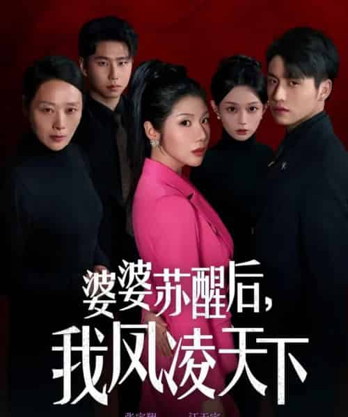 婆婆苏醒后,我凤凌天下(60集全)张宇翔&汪天予-紫橙网创项目网