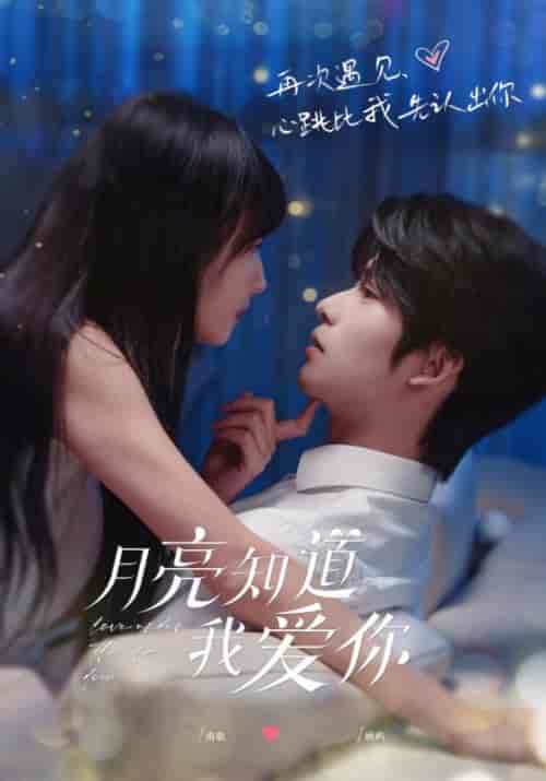 月亮知道我爱你（62集全）顾屿＆南歌 - 紫橙阁短剧