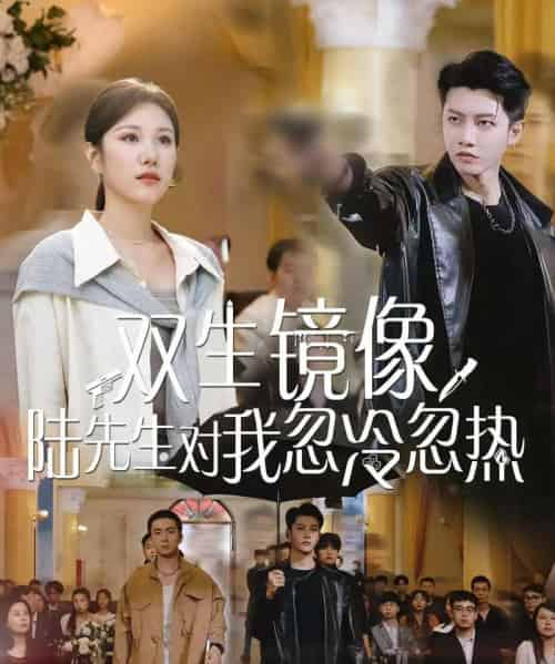 双生镜像陆先生对我忽冷忽热 双生镜像陆先生对我忽冷忽热